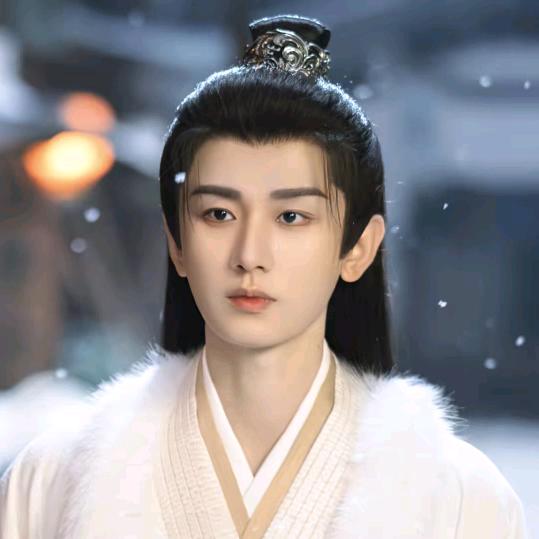 傅你毅个淇（优酷长安二十四计大爆版）