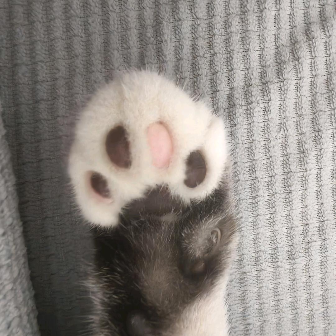 王发财