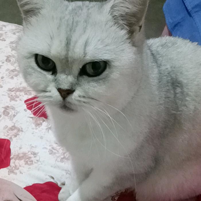 ヾ(❀╹◡╹)ノ゙❀~