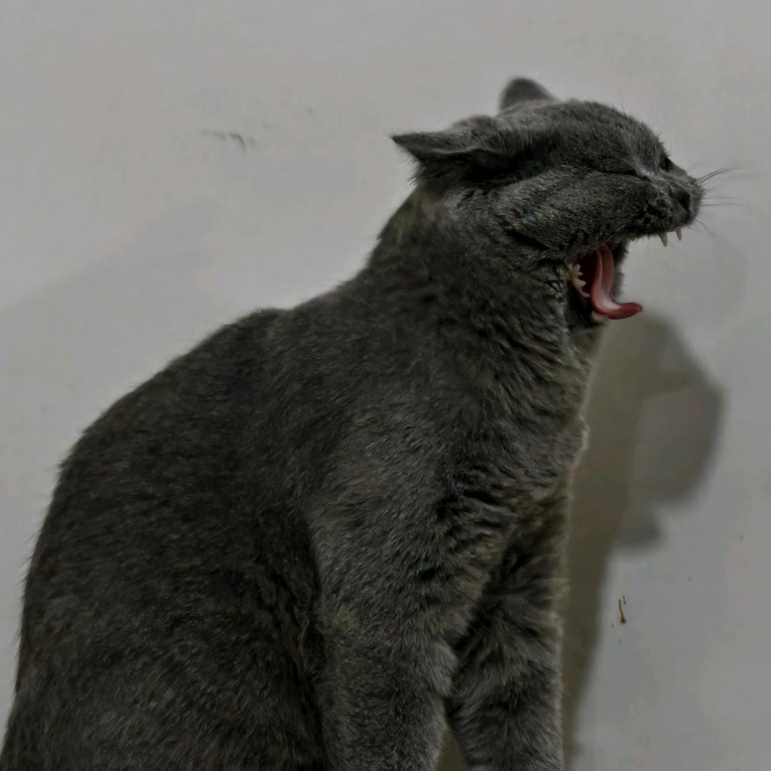 秋风亦温柔