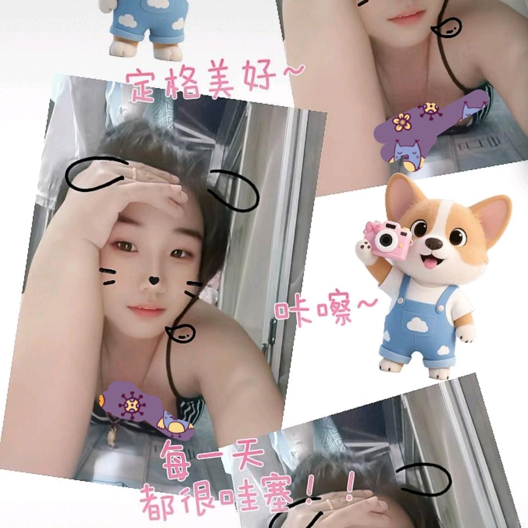 A92窦福丽Yan车过户