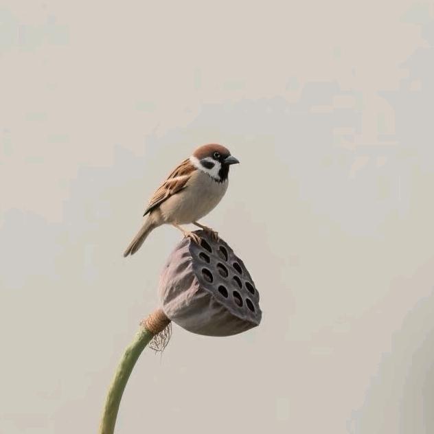 典韵好物坊