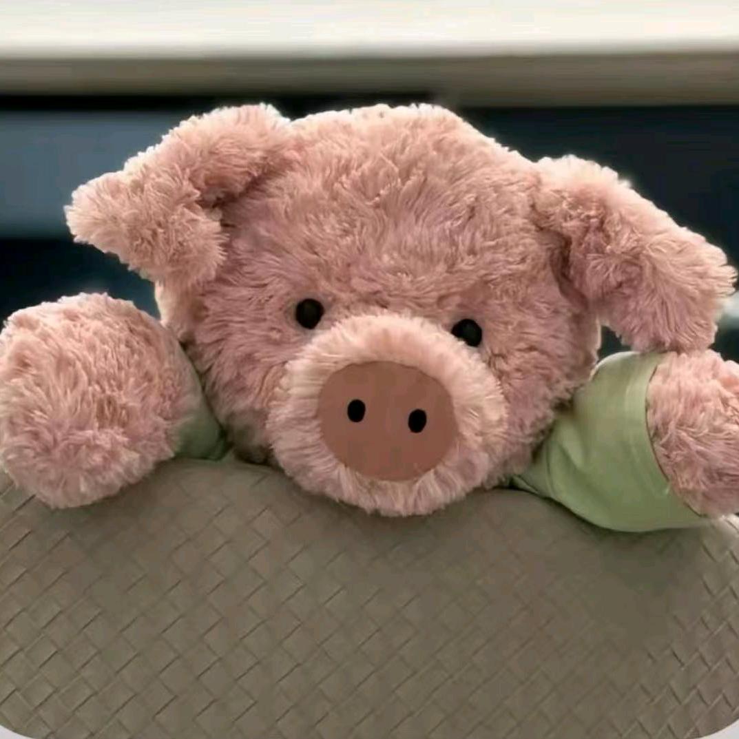 ╰︶迟遇☄ฺ(◣д◢)☄ฺ