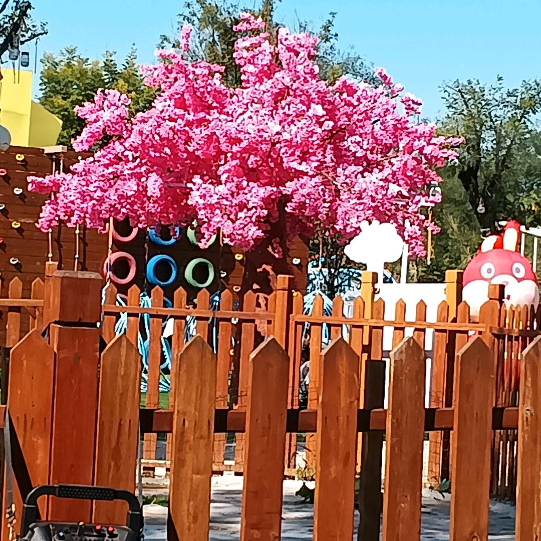 梅花香自苦寒来728