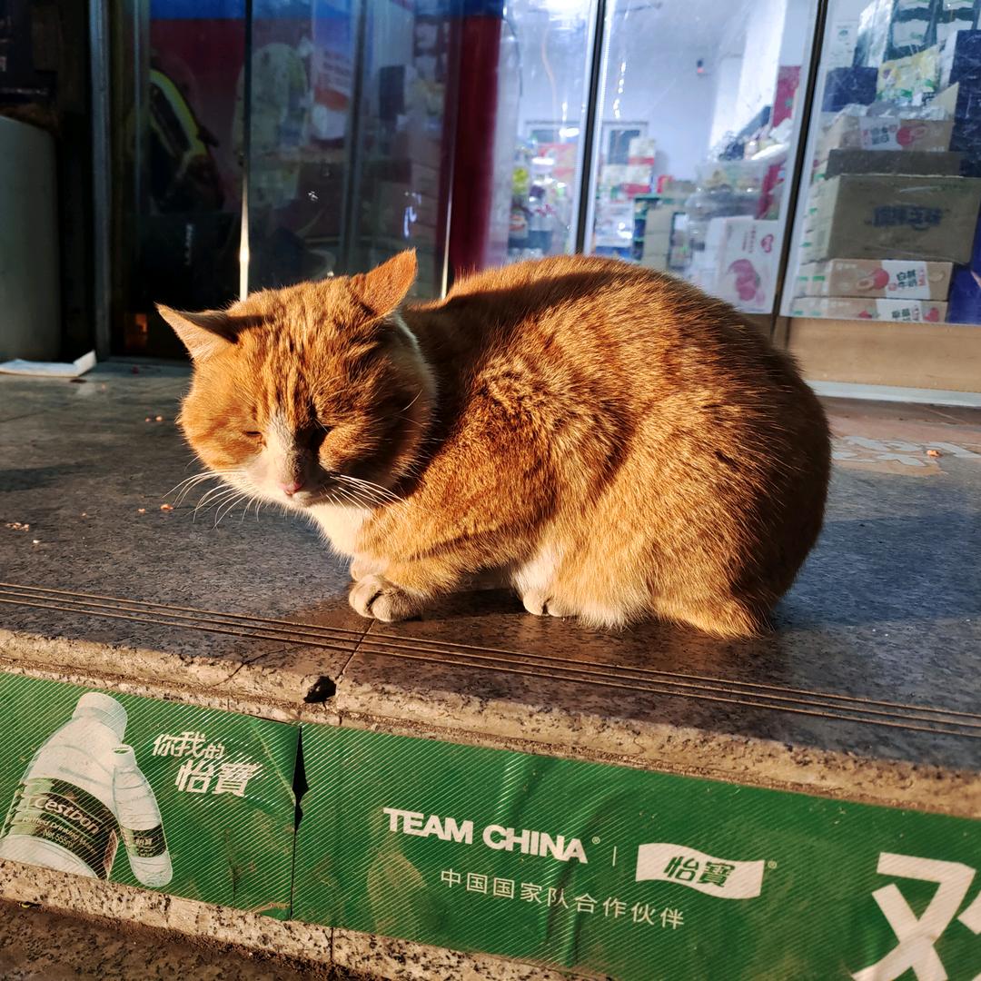 牛油菌汤锅