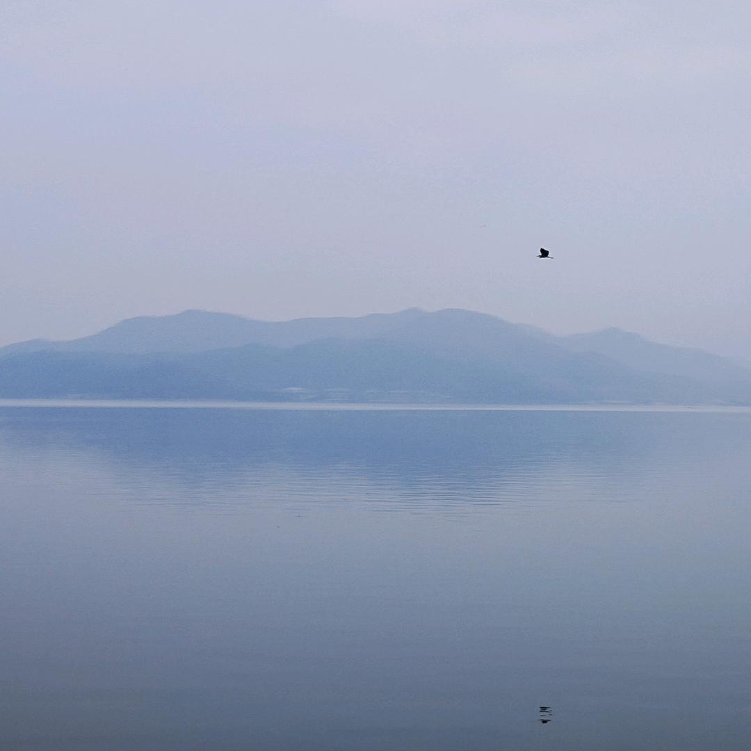 景天