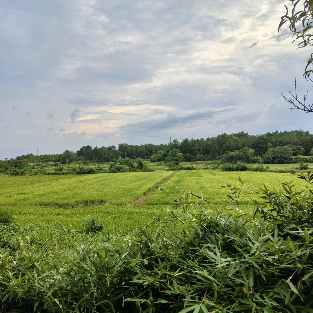 我的女孩🍭🍭