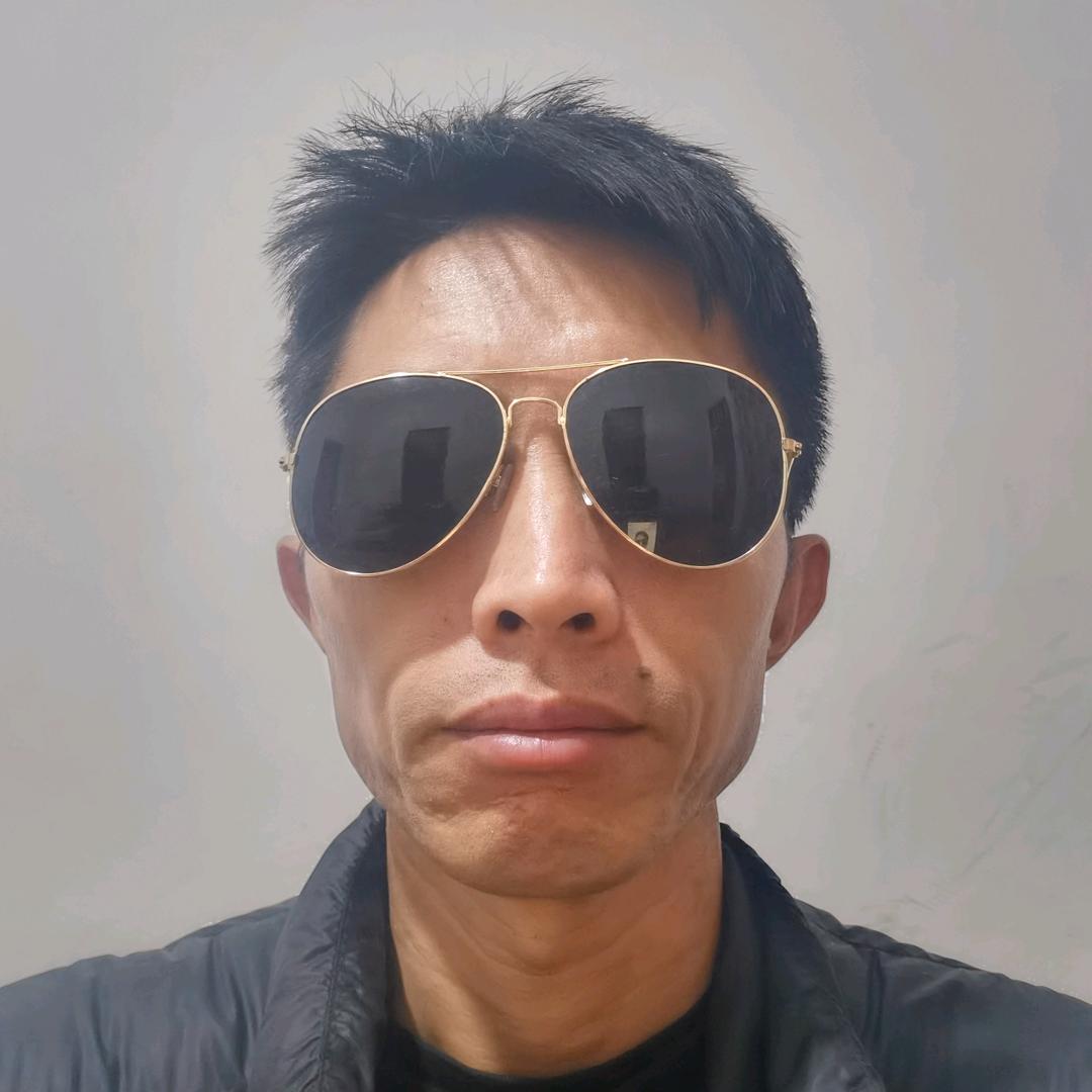 陶戈