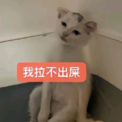 539_yu