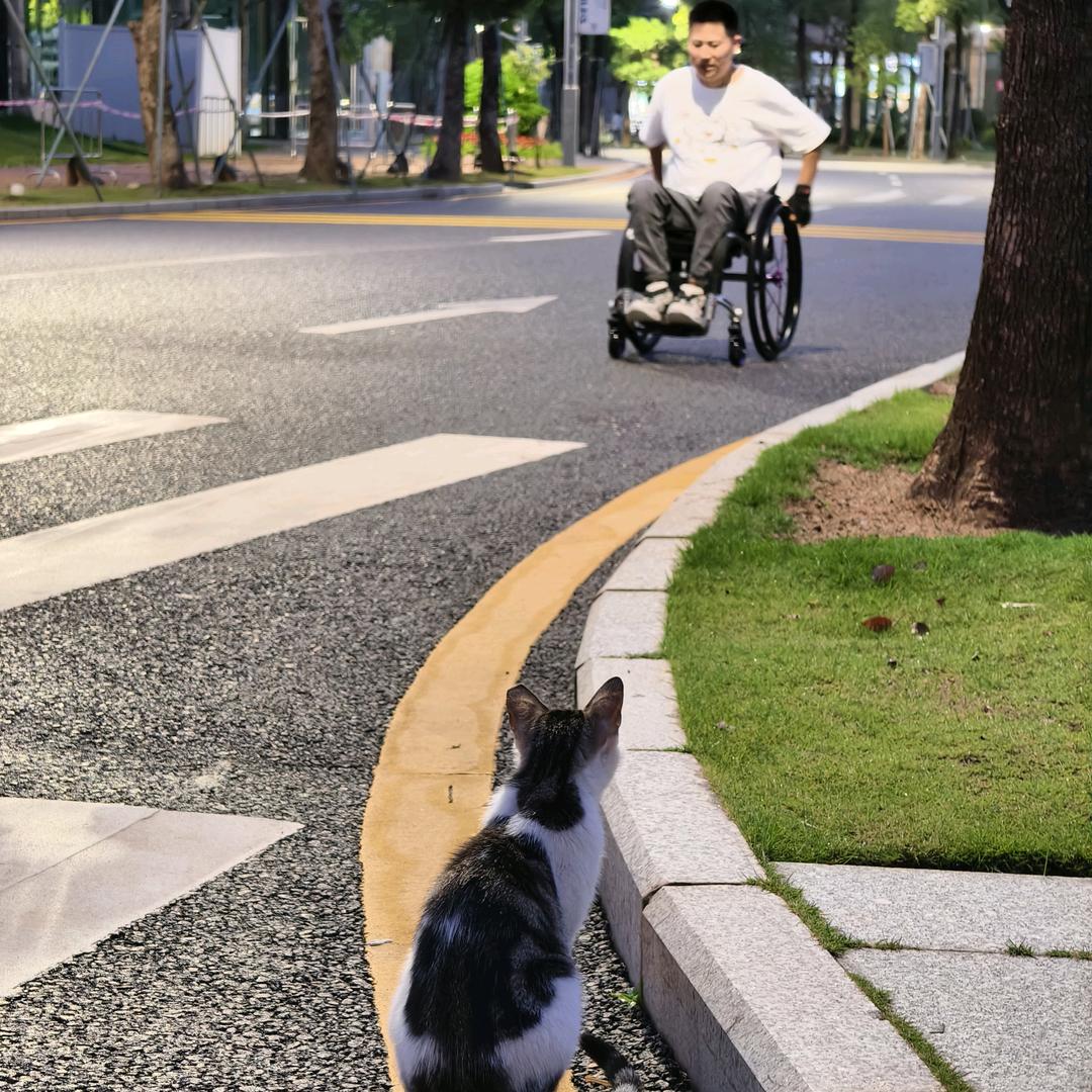 ☞追梦☜♿C1.C2.C5教学