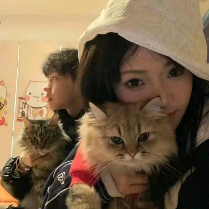 傻猫
