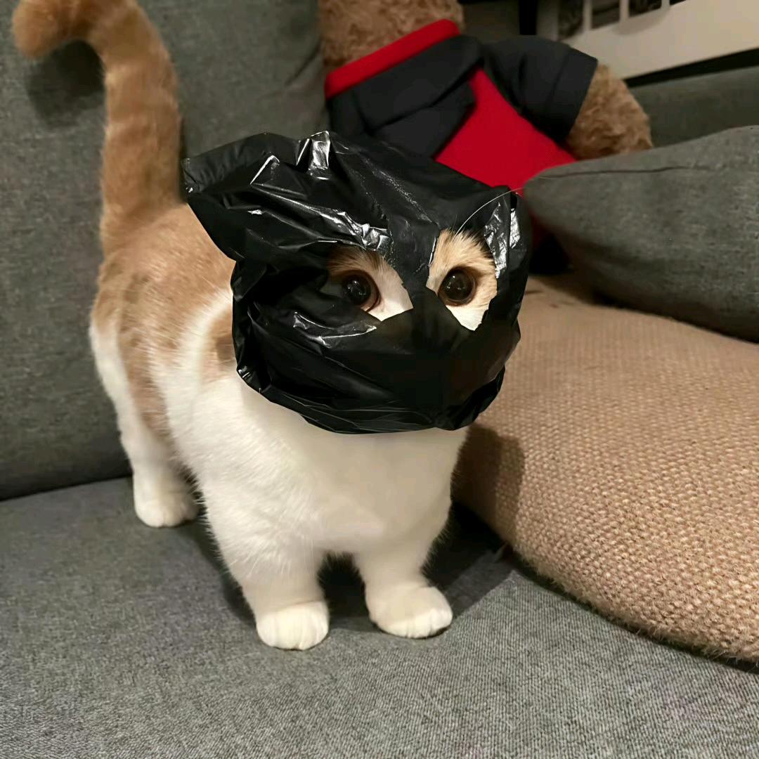 十◇二
