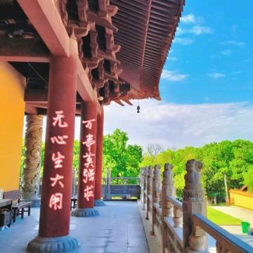 应无所住