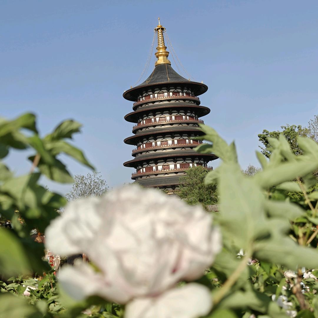 爱写字的小土豆