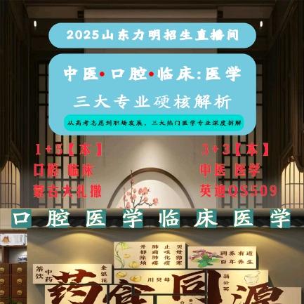 山东力明科技职业学院国际本科部