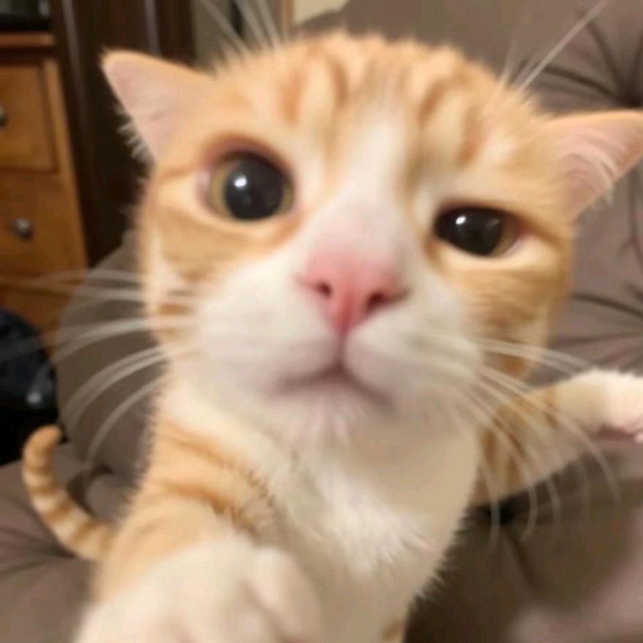 幸运的农村入