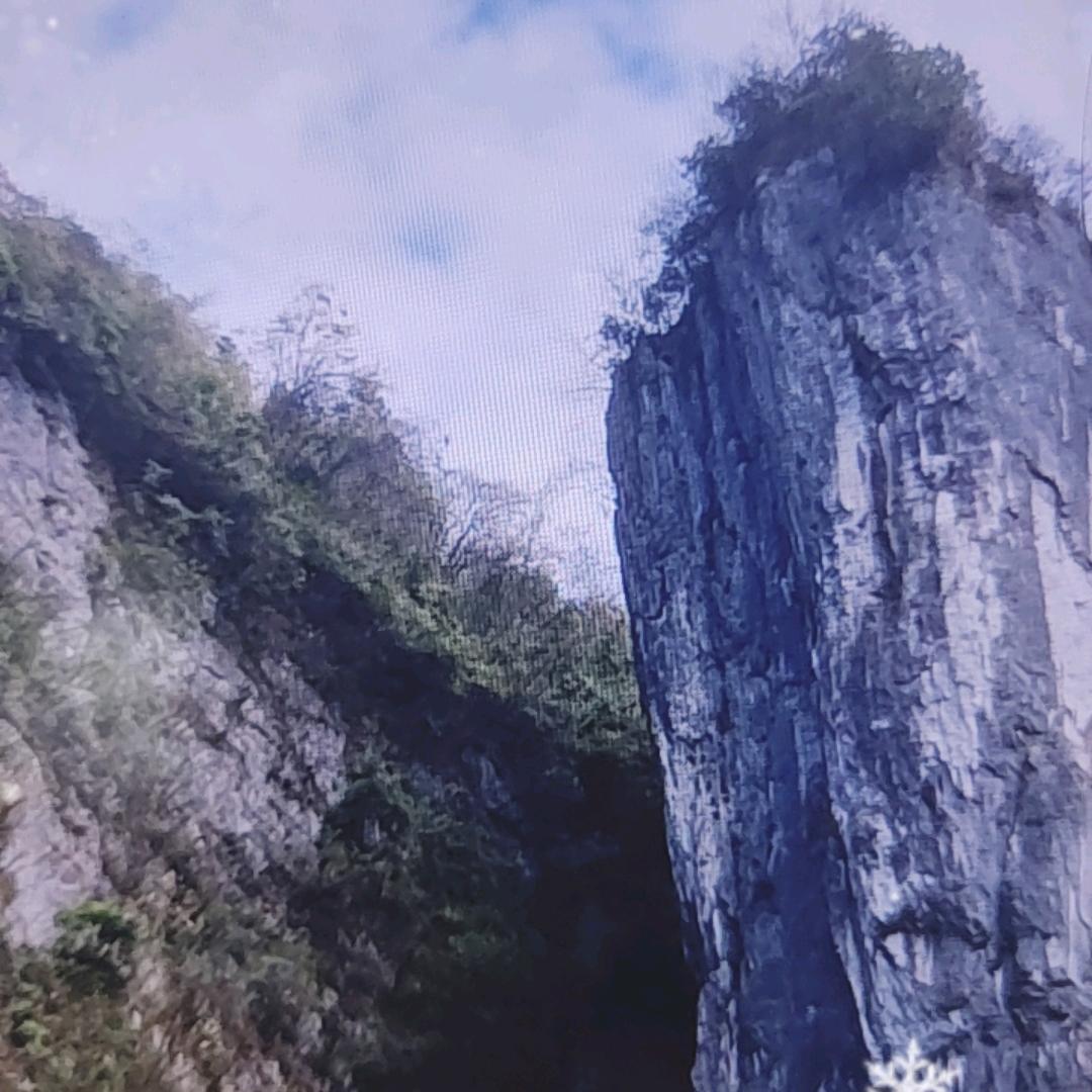 山妹tan