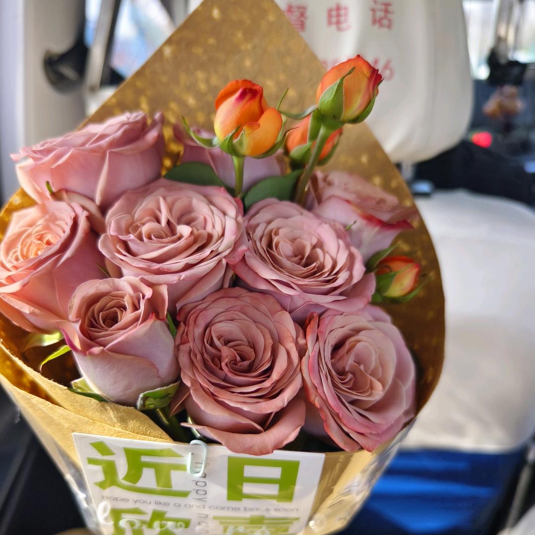 10号球迷⁹²⁰⁸