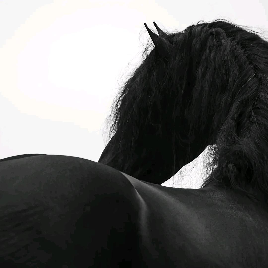 v.v