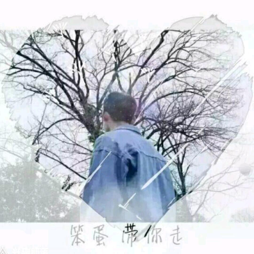 王者荣耀娃娃鱼