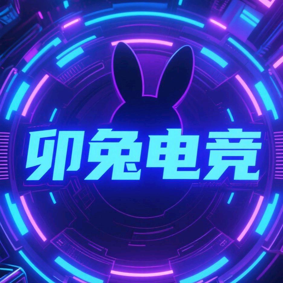 卯兔电竞（招PC端高手）