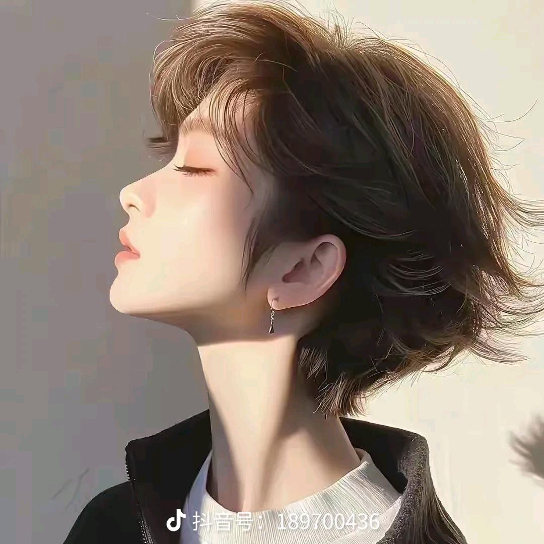 看车视界