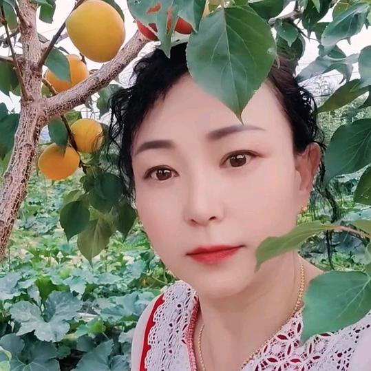 刘三妹