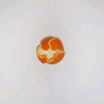 喜柿柿柿柿柿柿柿柿柿柿的神