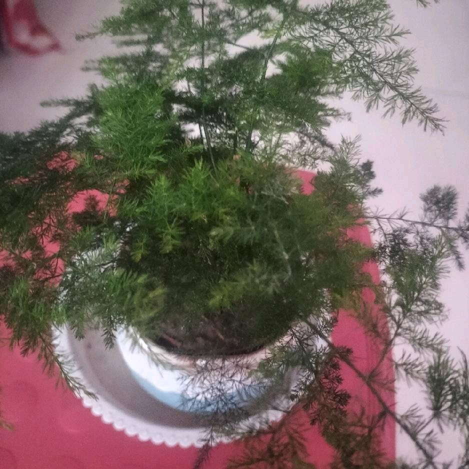 开心每一天。