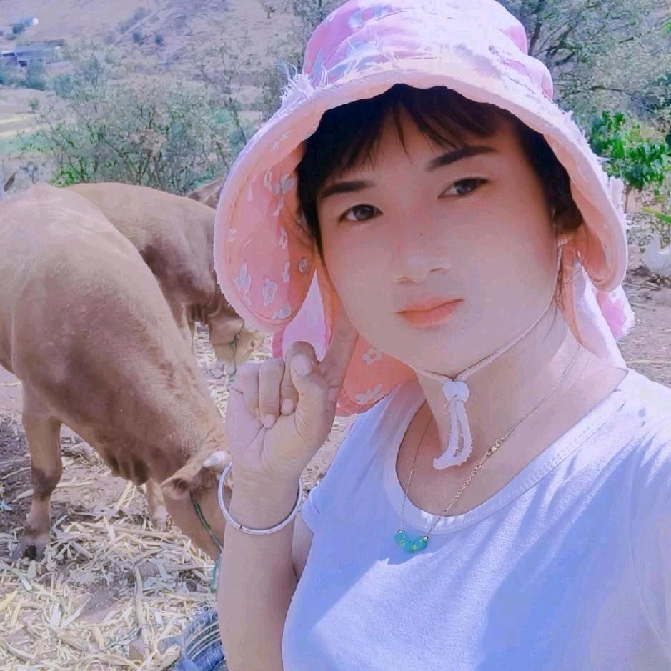谷永梅336699