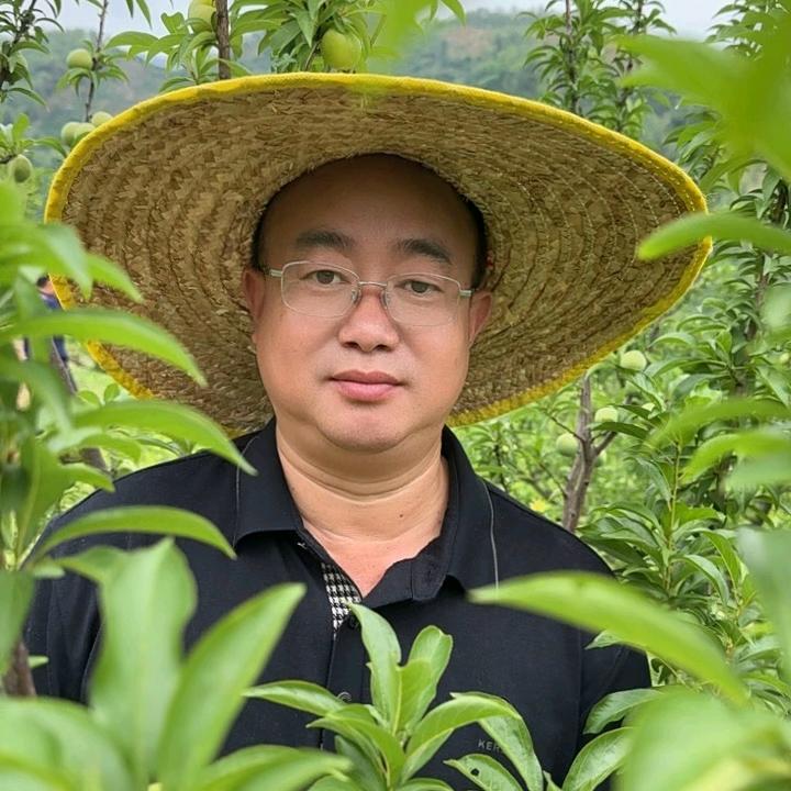 航行灯饰官方号