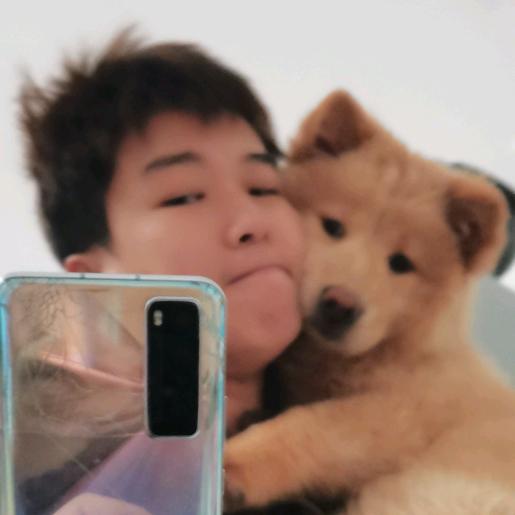 我和旺财的简单生活