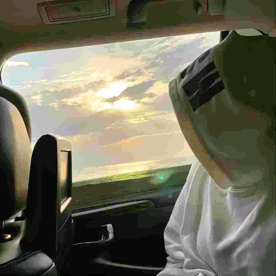 枫