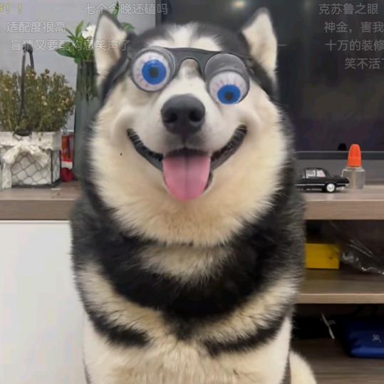 崔二十三