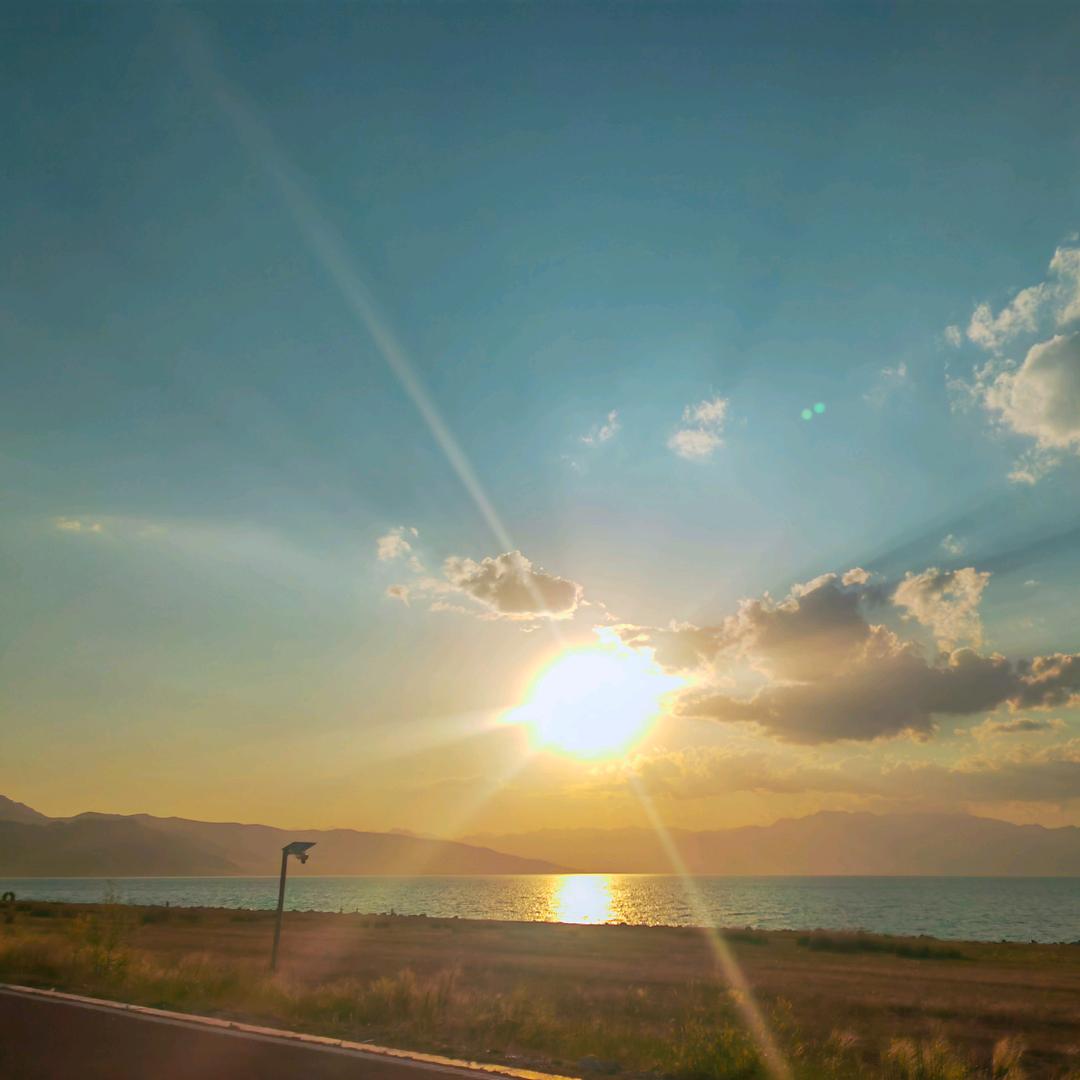 向光奔跑的書页