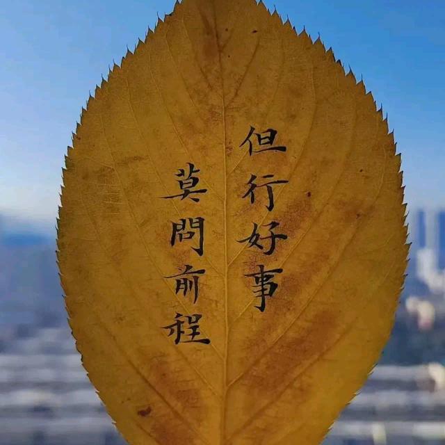 顺其自然1987