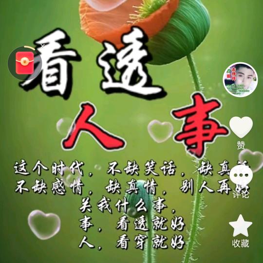 我的小情人