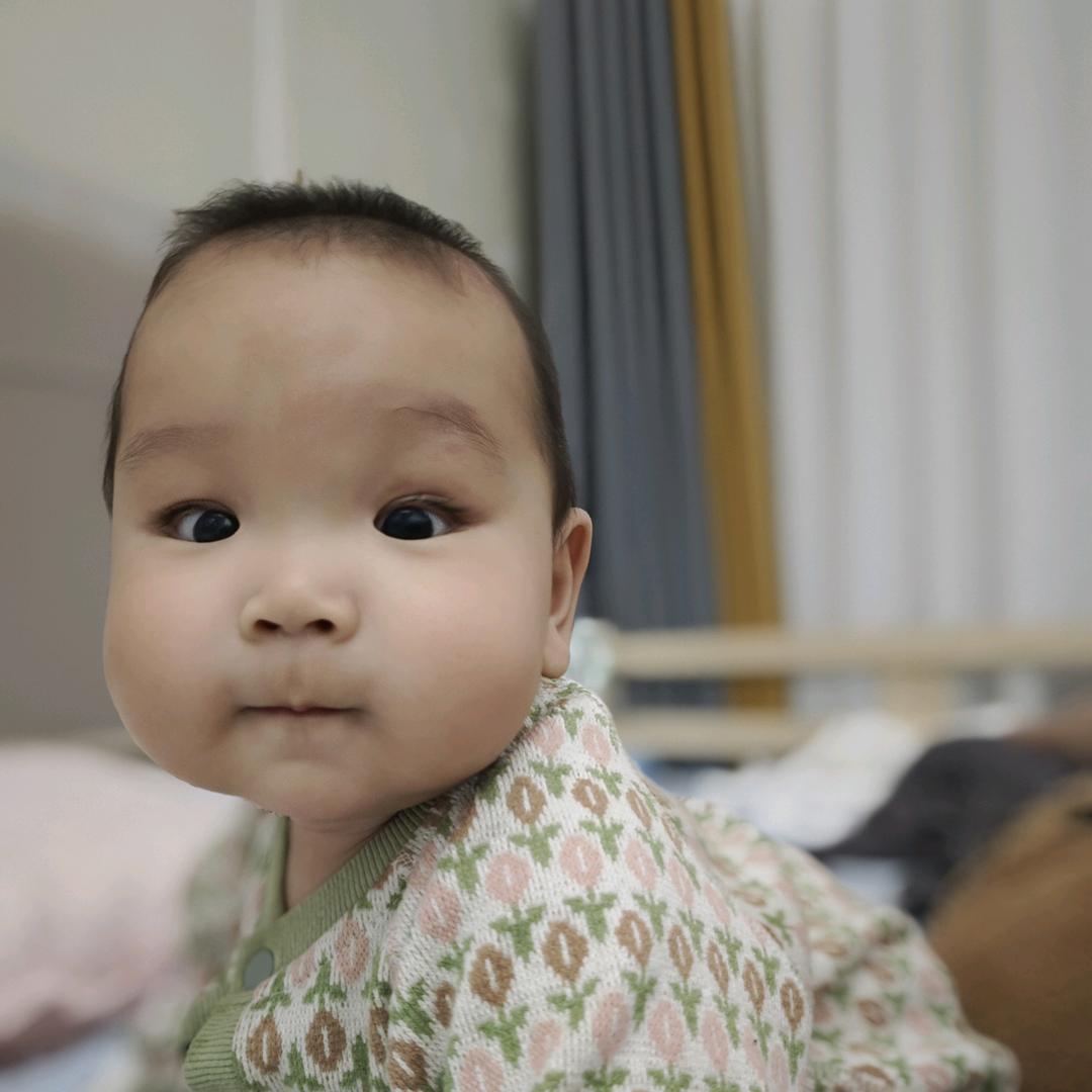 肉肉在长大