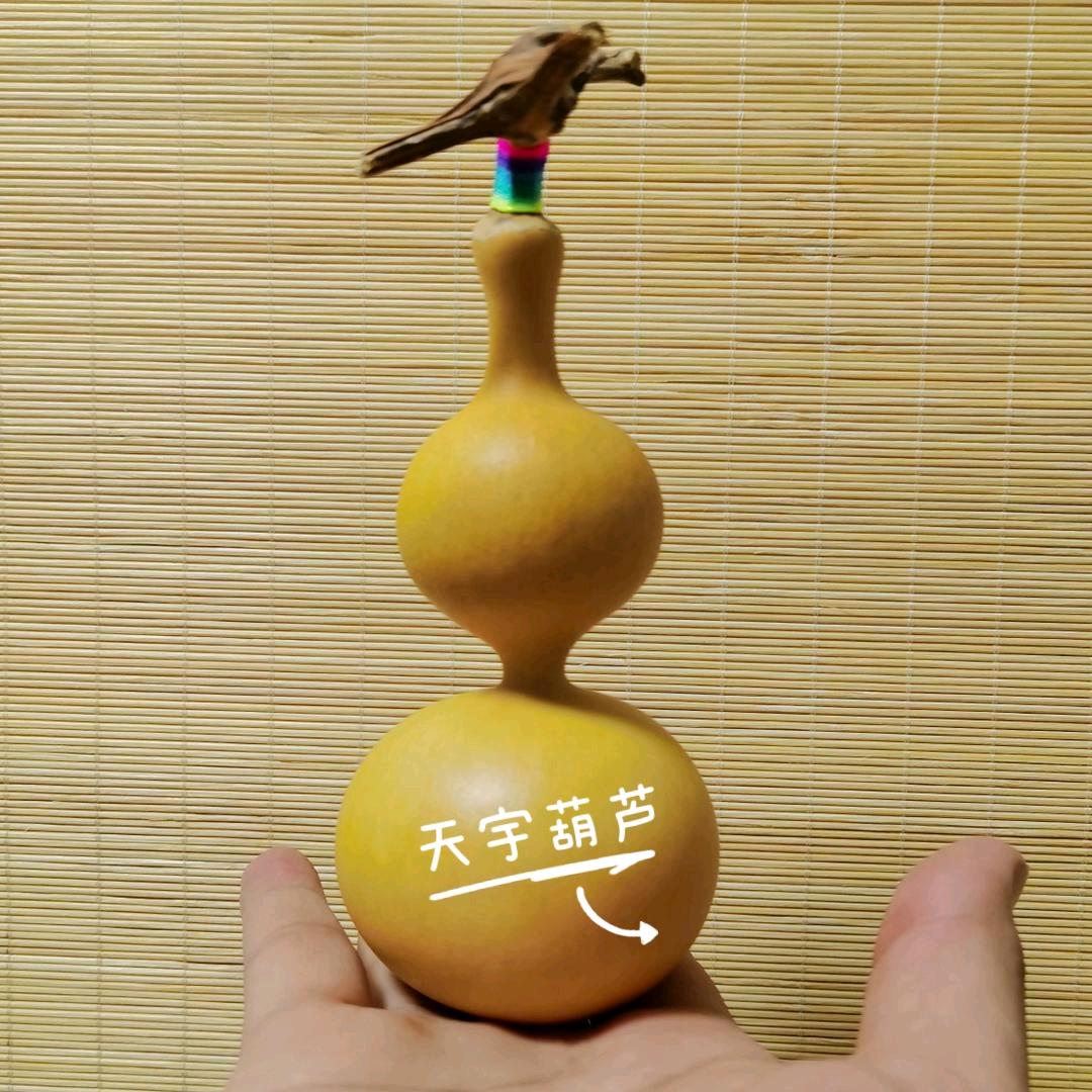 天宇葫芦