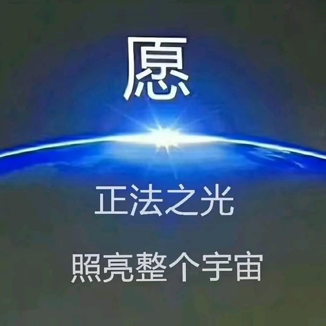 紫藤花开（l）