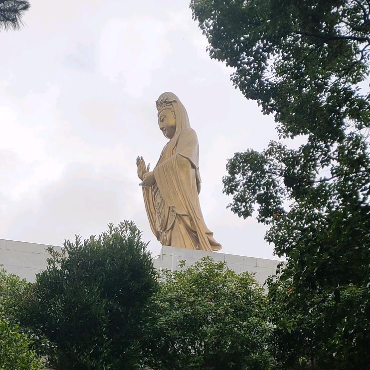 菏泽祈福车旅行者🚌🚌🚌