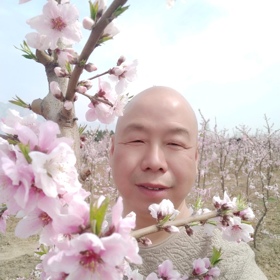 正能量郭淑峰