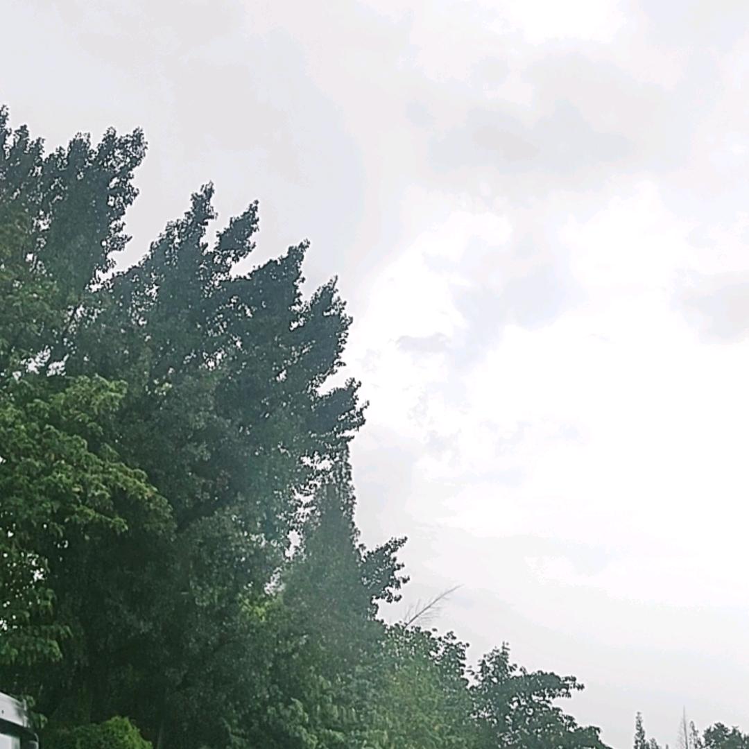 阿亮