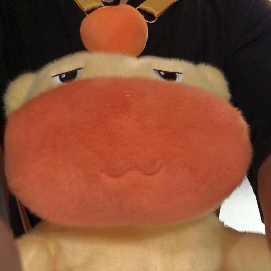 小江南📷（接约拍）