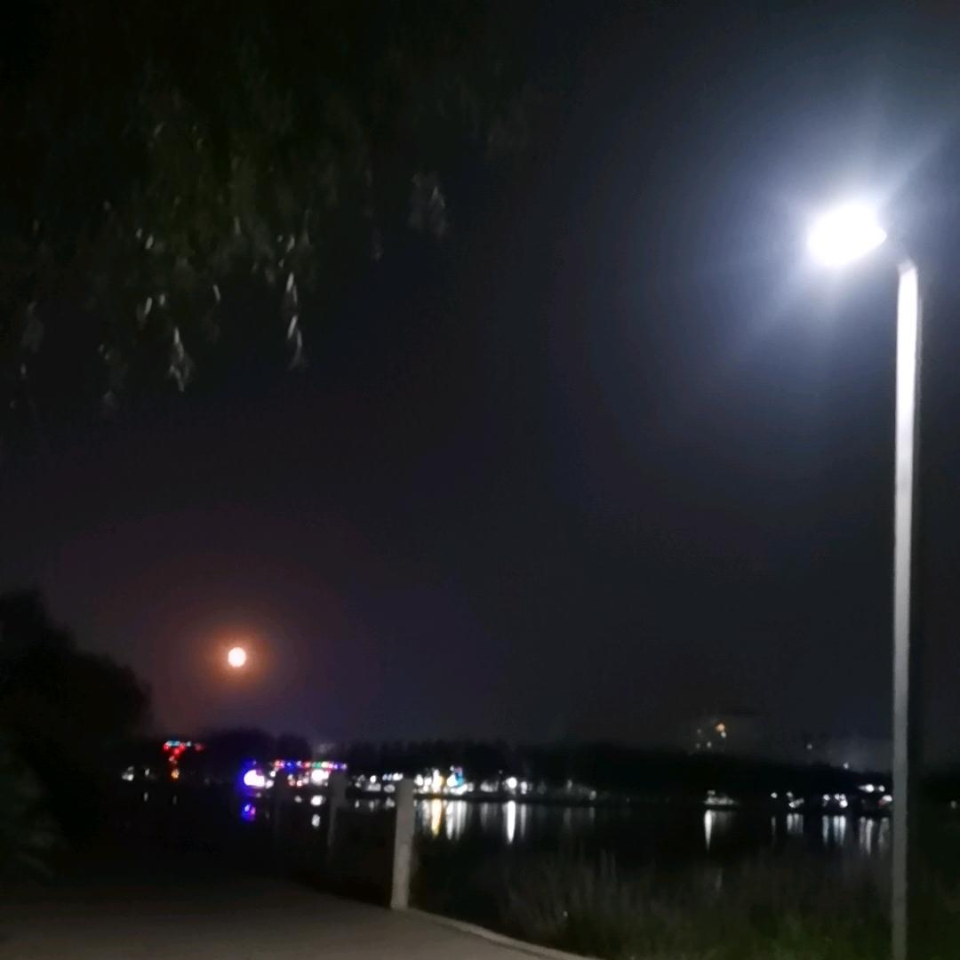 锅锅今天很忙。