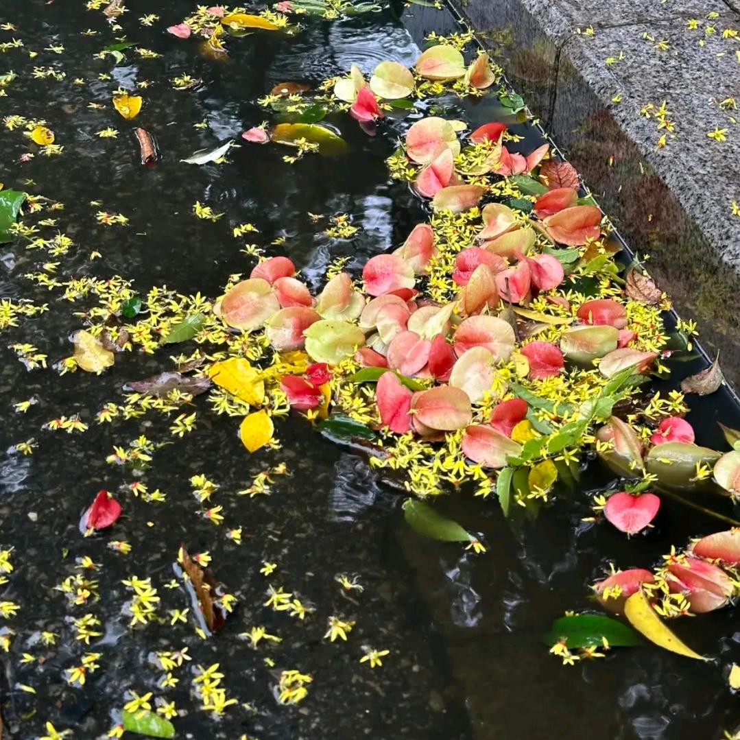 幸福时刻