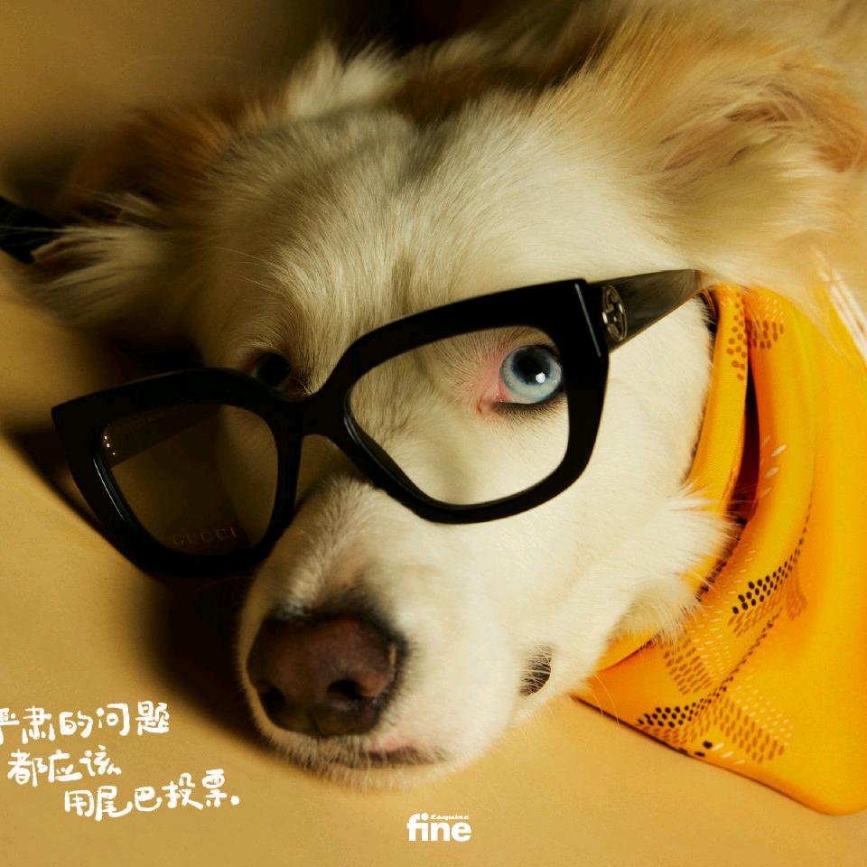 汉堡拌螺蛳粉