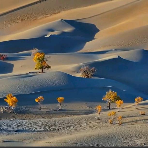 放过你，也放过我自己