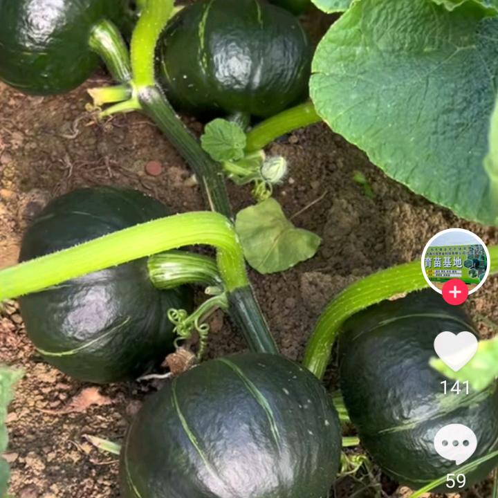 八方来财