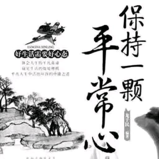 晨阳。